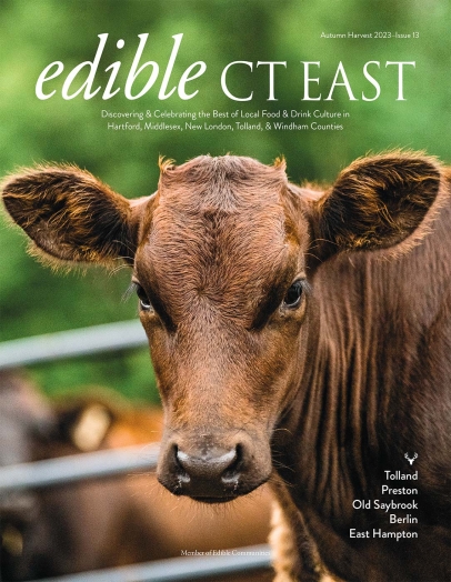 Edible CT East Fall 2023 cover - wagyu beef cow