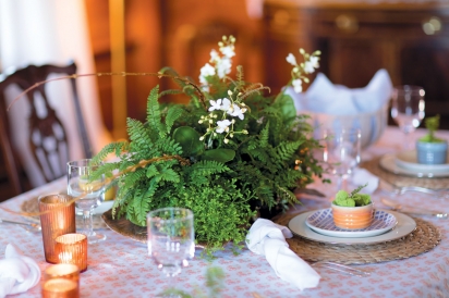 Young fern and miniature Moth Orchids spring centerpiece