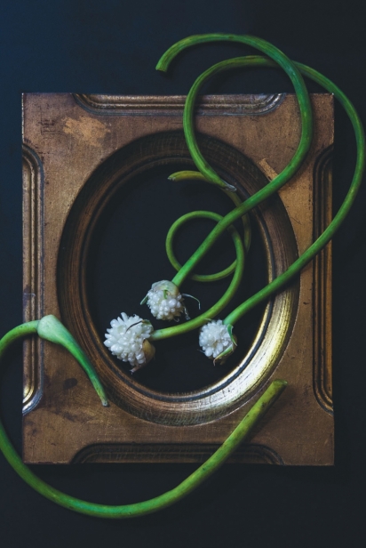 Garlic scapes in a frame