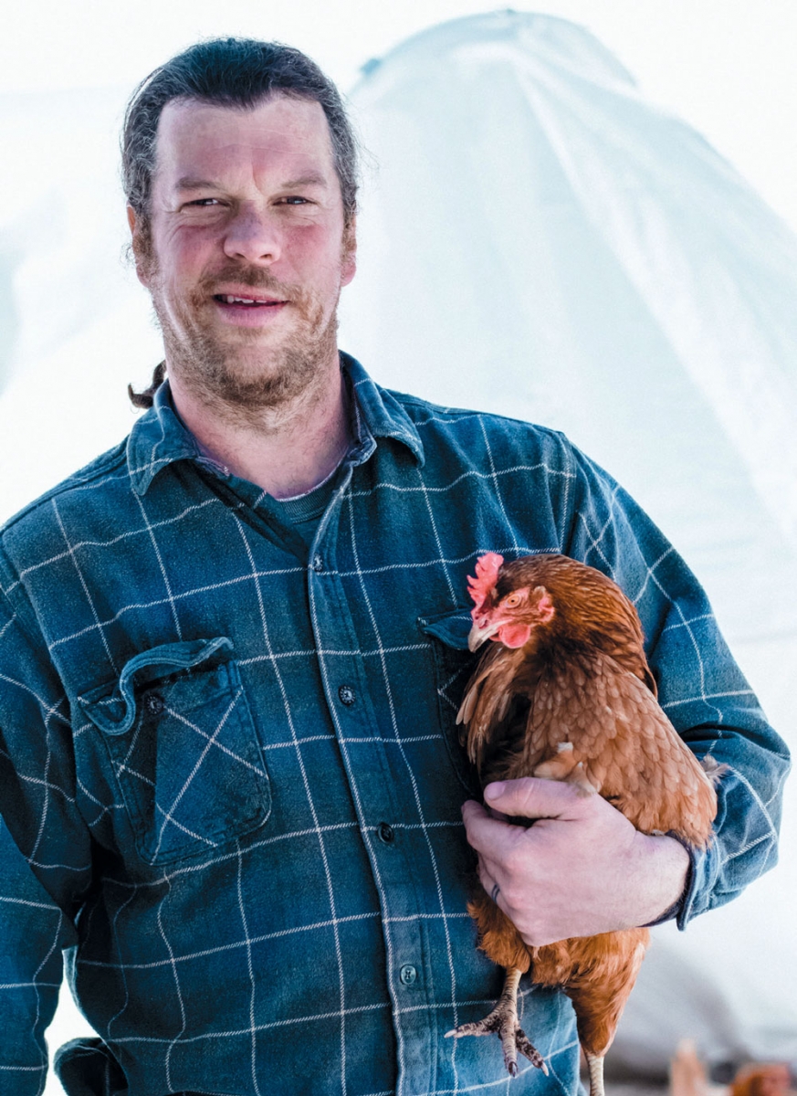 Laying hen at Copper Hill Farms in Somers, CT