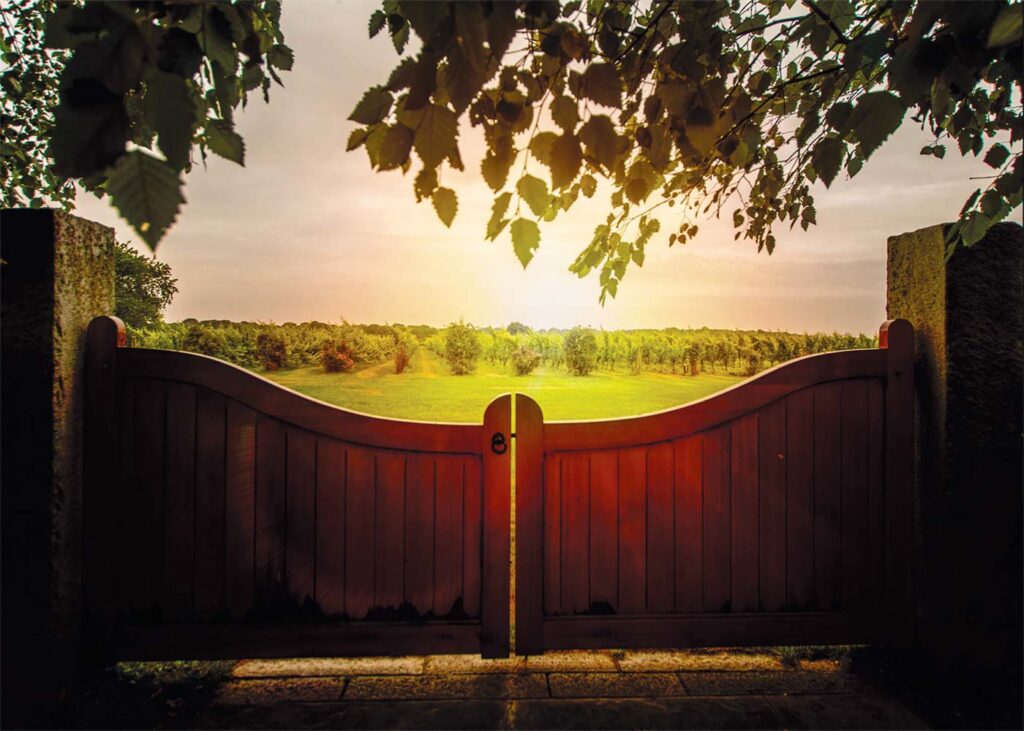 vineyard-gate.jpg