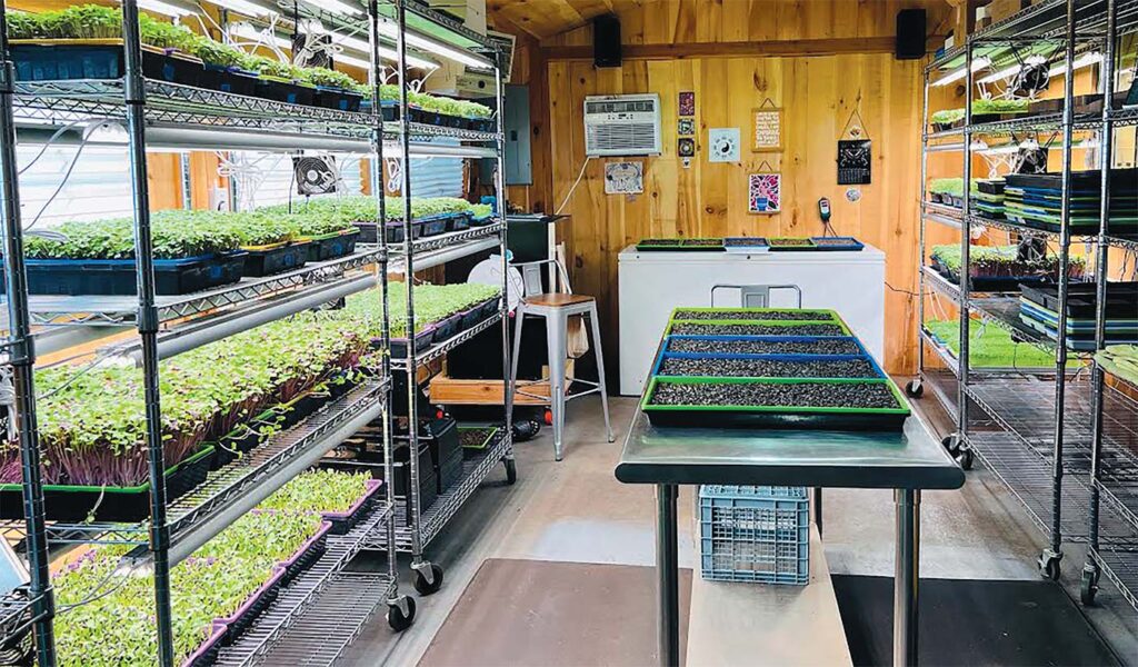 hydrocat-microgreens-room.jpg