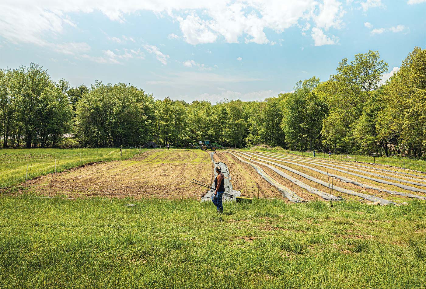 Mashantucket Pequot Tribal Nation Cultivates Local, Indigenous Food Sovereignty
